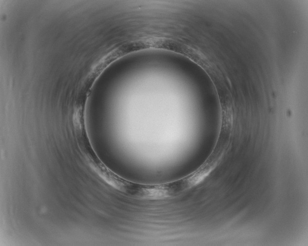 X0000080740286200612151257