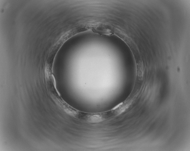 X0000080740287200612151257