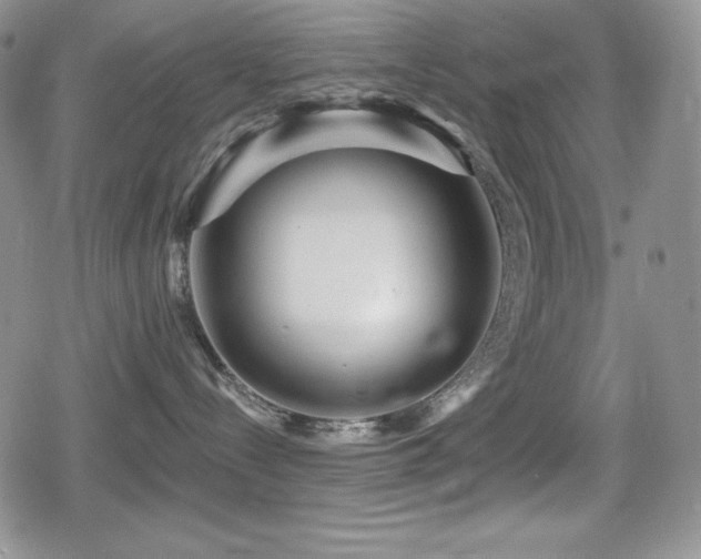 X0000080740288200612151257
