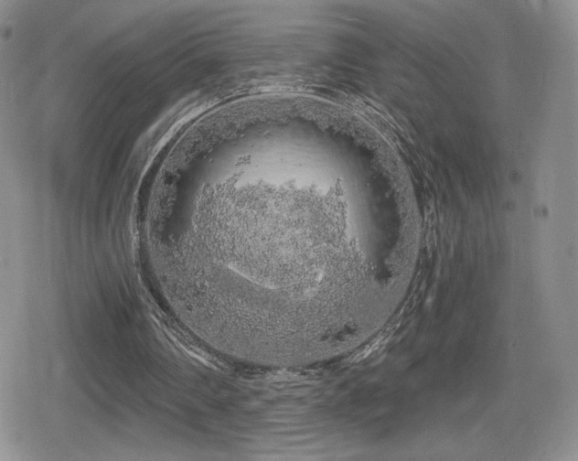 X0000080740290200612151256