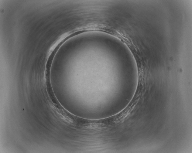 X0000080740292200612151256