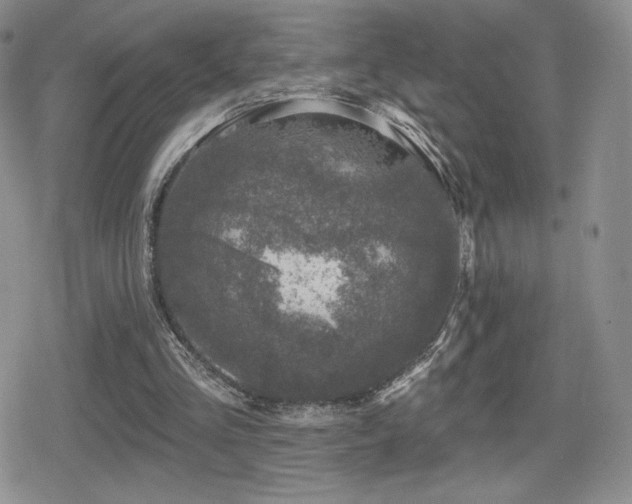 X0000080740293200612151256