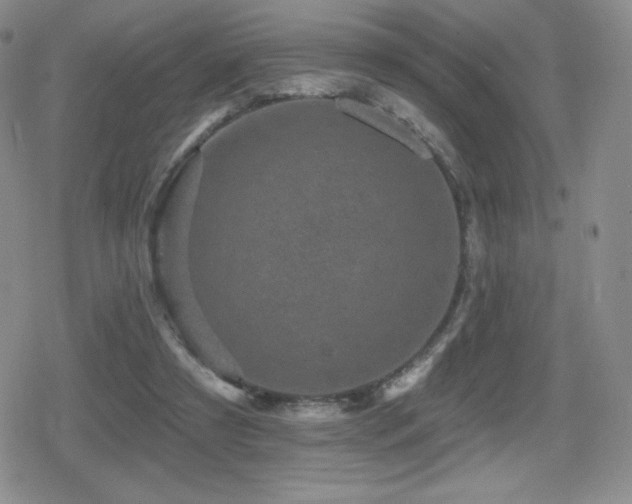X0000080740305200612151256