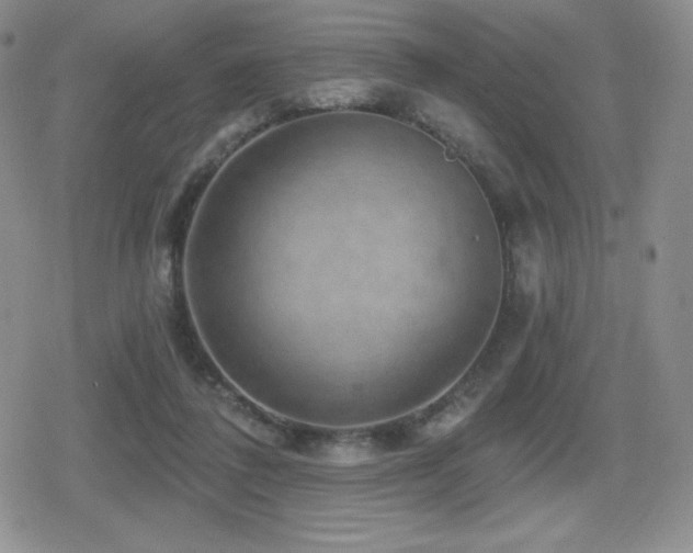 X0000080740308200612151256