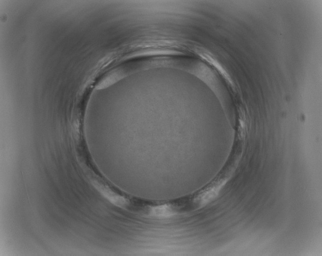 X0000080740309200612151256