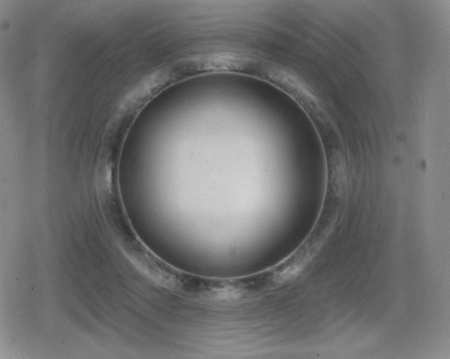 X0000080740310200612151256
