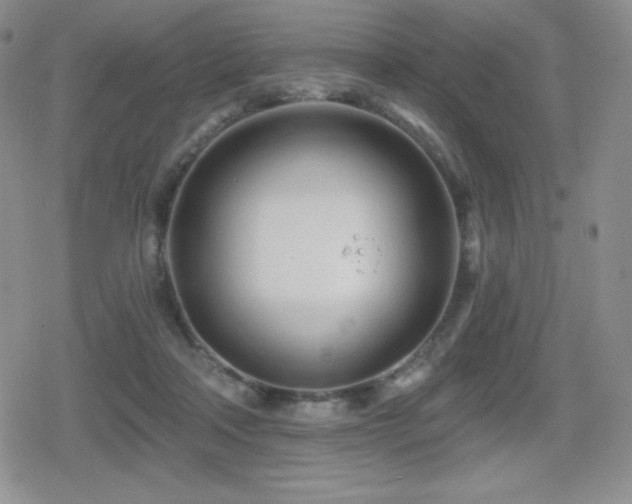 X0000080740314200612151256