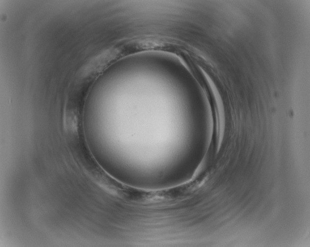 X0000080740315200612151256