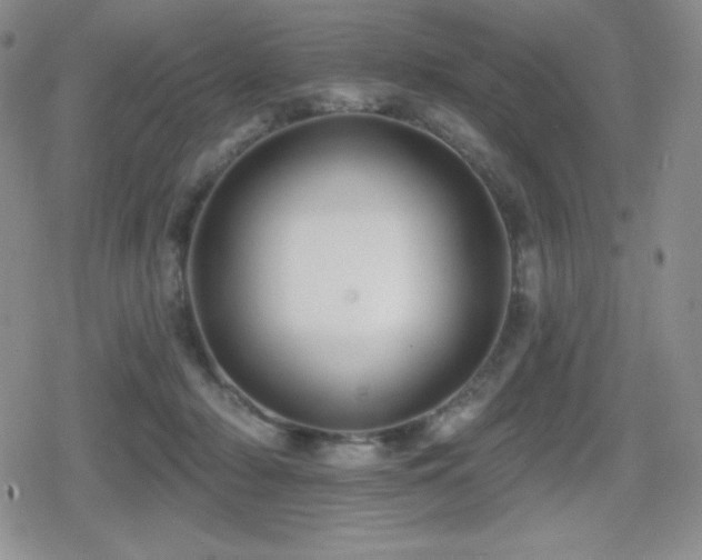 X0000080740318200612151256