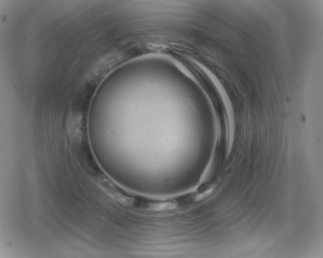 X0000080740319200612151256