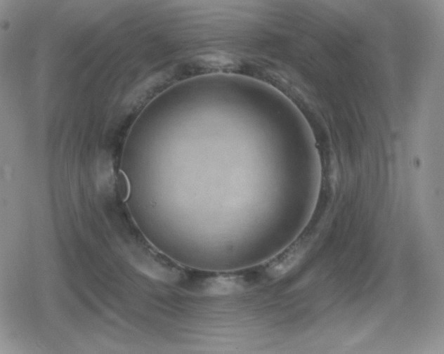 X0000080740320200612151256