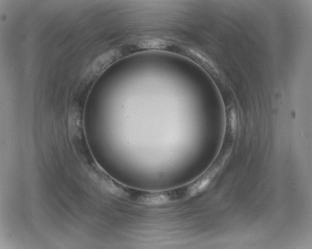X0000080740322200612151256