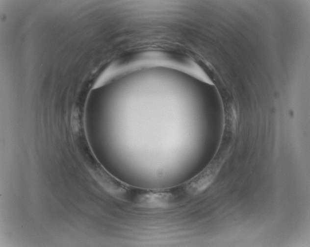 X0000080740323200612151256