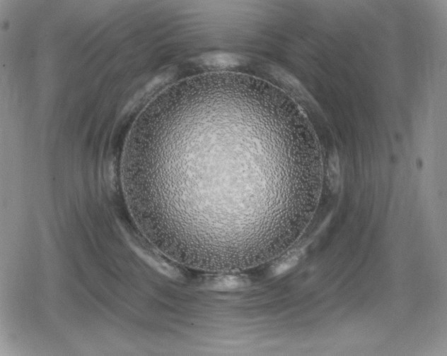 X0000080740330200612151256