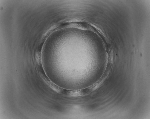 X0000080740335200612151255