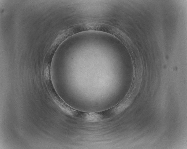 X0000080740336200612151255