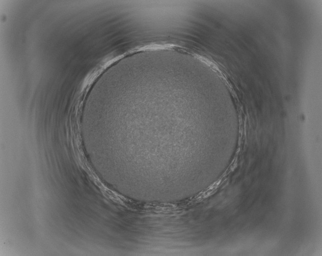 X0000080740337200612151255