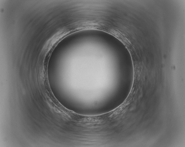 X0000080740338200612151255