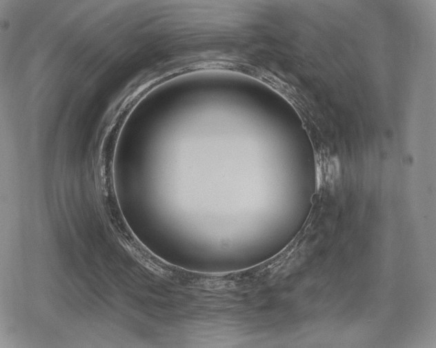 X0000080740339200612151255