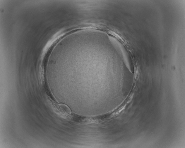 X0000080740343200612151255