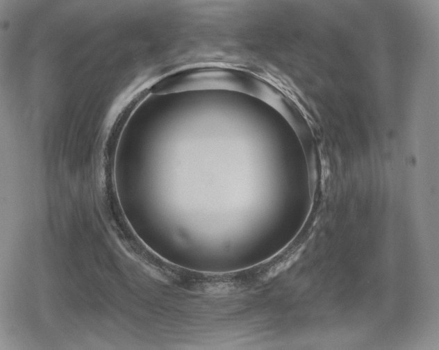X0000080740344200612151255