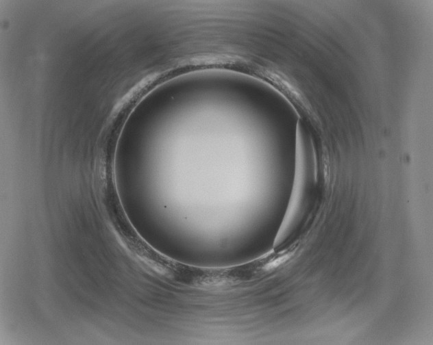 X0000080740348200612151255
