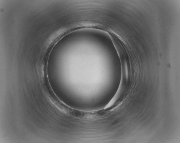 X0000080740350200612151255
