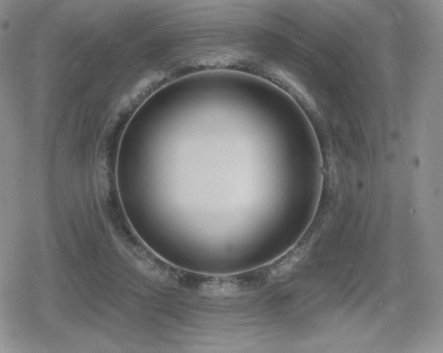 X0000080740354200612151255