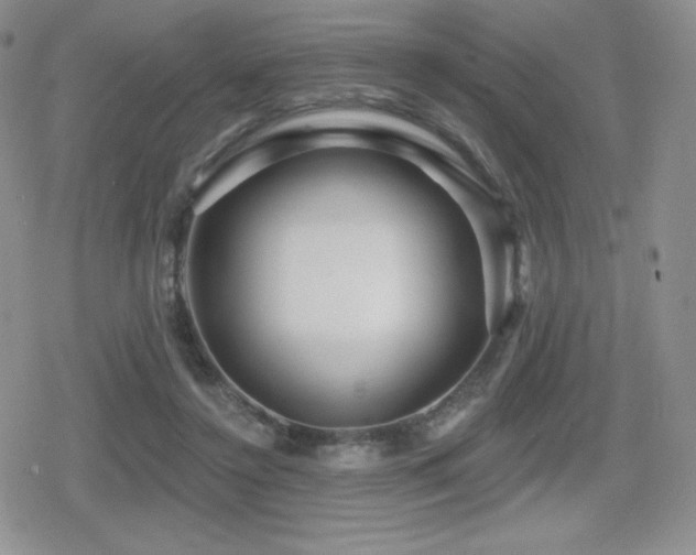 X0000080740356200612151255