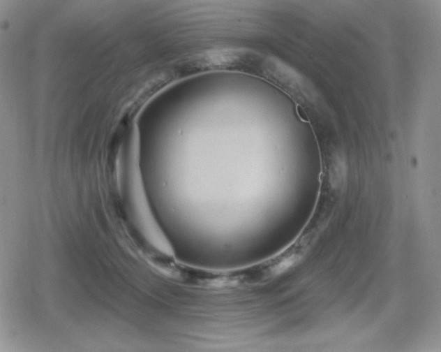 X0000080740366200612151255