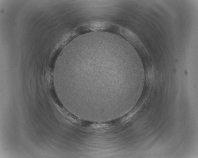 X0000080740367200612151255