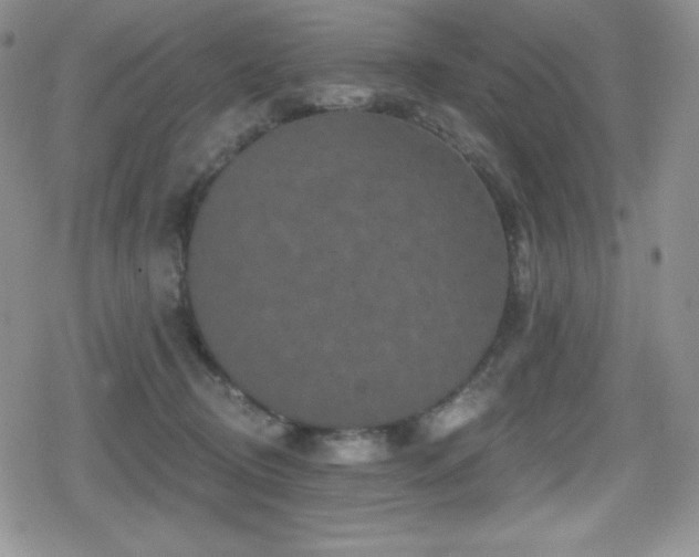 X0000080740370200612151255