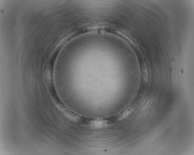 X0000080740375200612151255