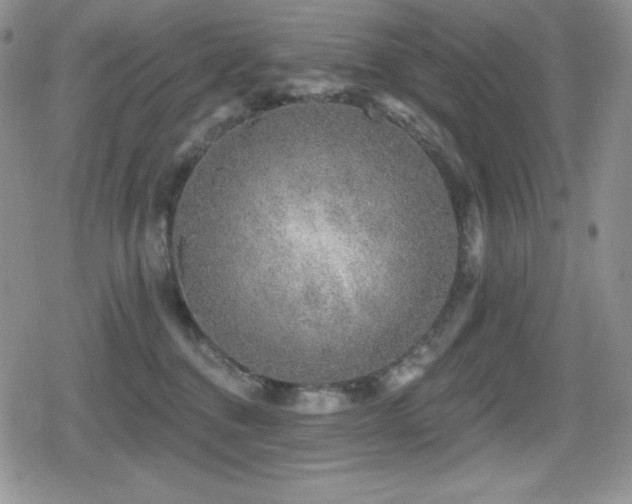 X0000080740376200612151255