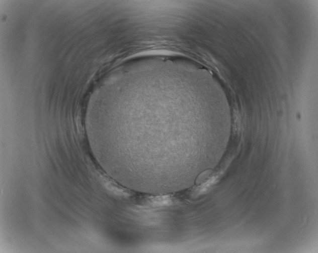 X0000080740377200612151255
