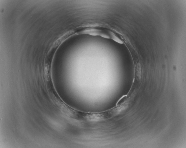X0000080740378200612151255
