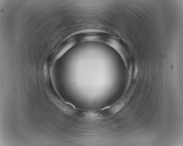 X0000080740380200612151255