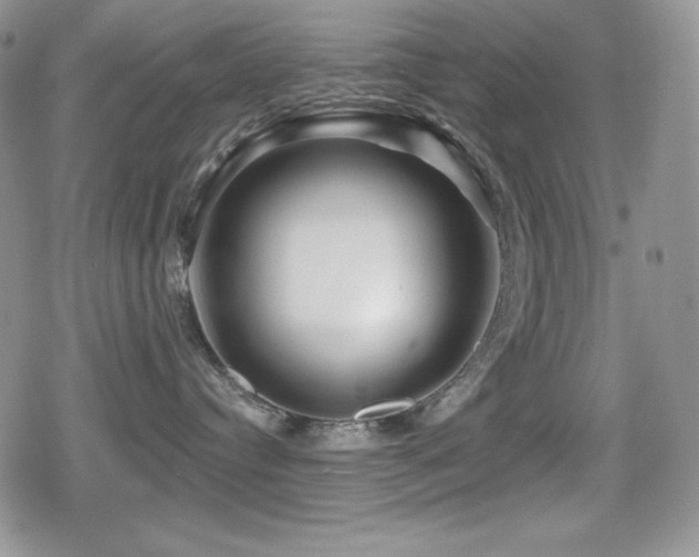 X0000080740384200612151255