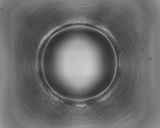 X0000080740388200612151255