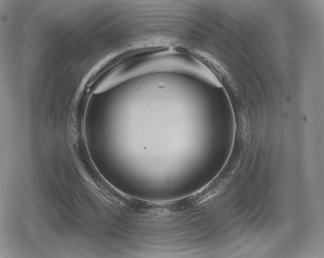X0000080740392200612151255