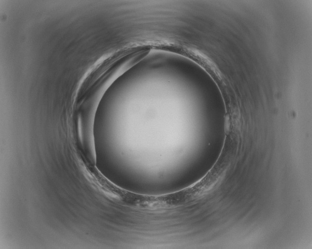 X0000080740395200612151255