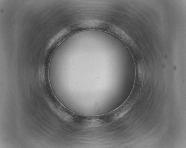 X0000080740396200612151254