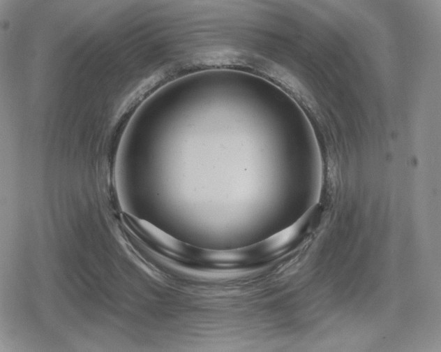 X0000080740397200612151254