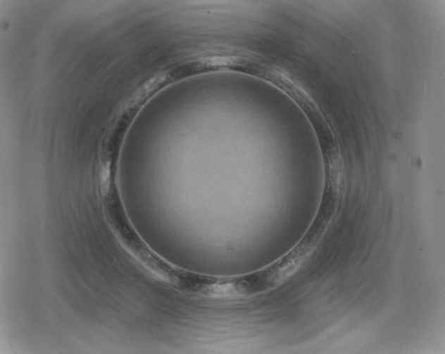 X0000080740406200612151254