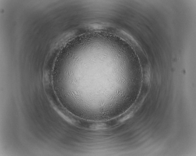 X0000080740410200612151254