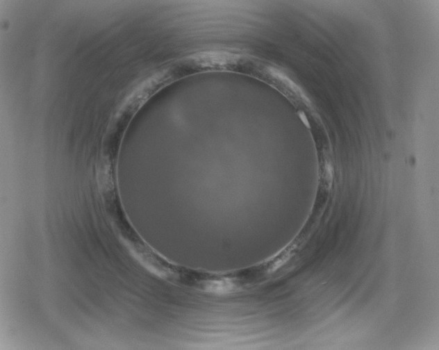 X0000080740411200612151254