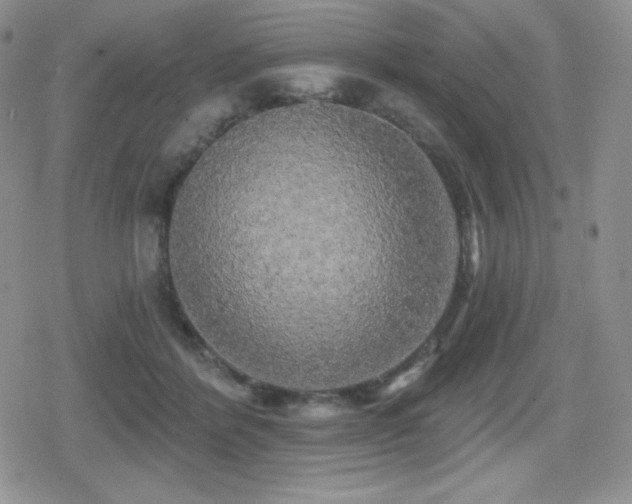 X0000080740412200612151254