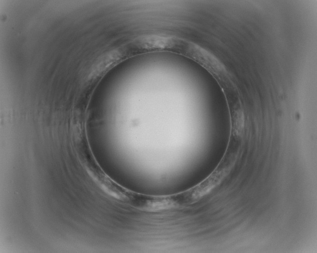 X0000080740414200612151254