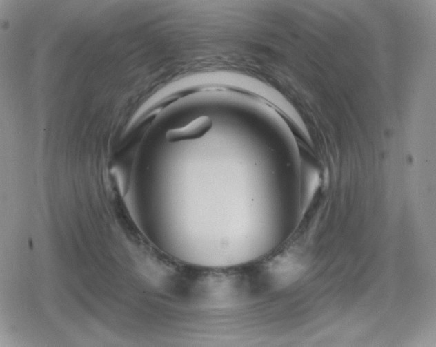 X0000080740416200612151254
