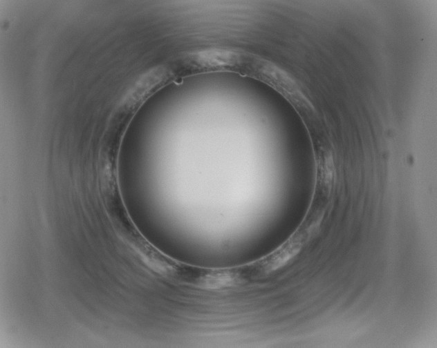 X0000080740418200612151254